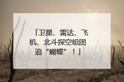 卫星、雷达、飞机、北斗探空组团追“蝴蝶”！