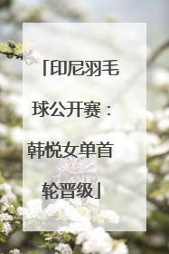 印尼羽毛球公开赛：韩悦女单首轮晋级