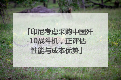 印尼考虑采购中国歼-10战斗机，正评估性能与成本优势