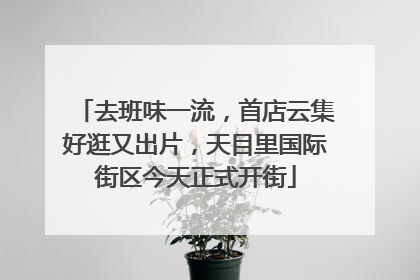 去班味一流，首店云集好逛又出片，天目里国际街区今天正式开街