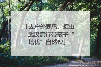 去户外观鸟、捉虫，武汉流行带孩子“培优”自然课