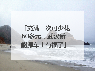 充满一次可少花60多元，武汉新能源车主有福了
