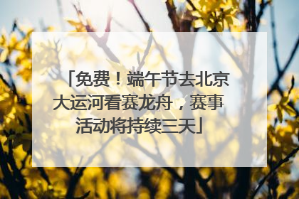 免费！端午节去北京大运河看赛龙舟，赛事活动将持续三天