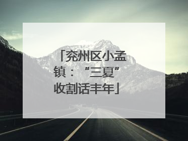 兖州区小孟镇：“三夏”收割话丰年