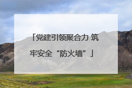 党建引领聚合力 筑牢安全“防火墙”
