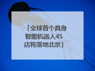 全球首个具身智能机器人4S店将落地北京
