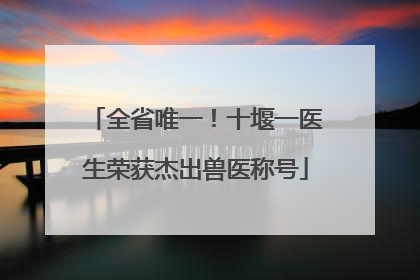 全省唯一！十堰一医生荣获杰出兽医称号