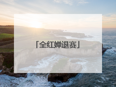全红婵退赛