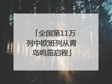 全国第11万列中欧班列从青岛鸣笛启程