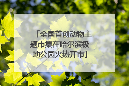 全国首创动物主题市集在哈尔滨极地公园火热开市