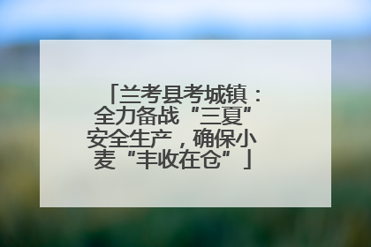 兰考县考城镇：全力备战“三夏”安全生产，确保小麦“丰收在仓”