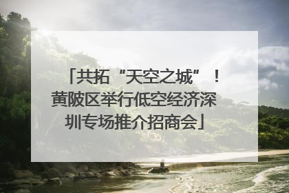 共拓“天空之城”！黄陂区举行低空经济深圳专场推介招商会