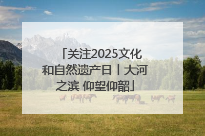 关注2025文化和自然遗产日丨大河之滨 仰望仰韶