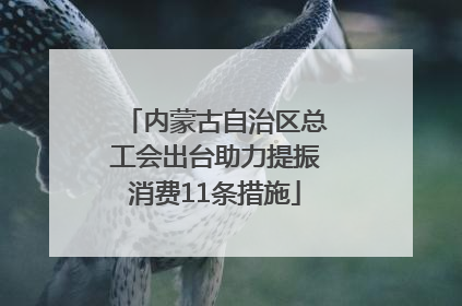 内蒙古自治区总工会出台助力提振消费11条措施