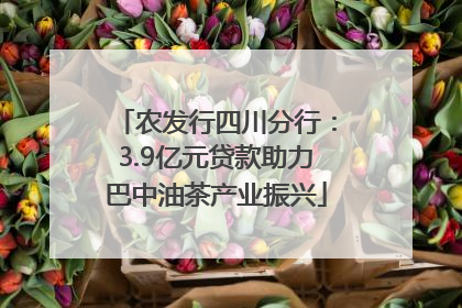 农发行四川分行：3.9亿元贷款助力巴中油茶产业振兴