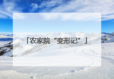 农家院“变形记”