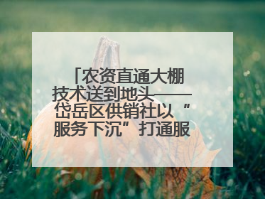 农资直通大棚 技术送到地头——岱岳区供销社以“服务下沉”打通服务“三农”最后一公里