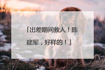 出差期间救人！陈建军，好样的！