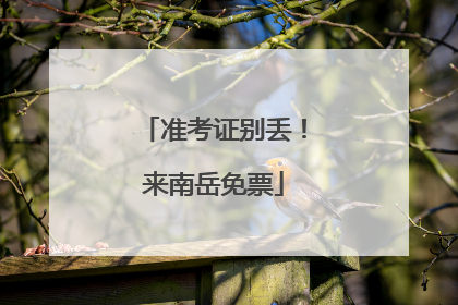 准考证别丢！来南岳免票
