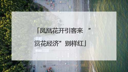 凤凰花开引客来 “赏花经济”别样红