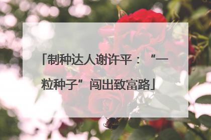制种达人谢许平：“一粒种子”闯出致富路