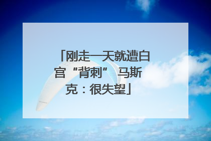 刚走一天就遭白宫“背刺” 马斯克：很失望