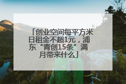 创业空间每平方米日租金不超1元，浦东“青创15条”满月带来什么