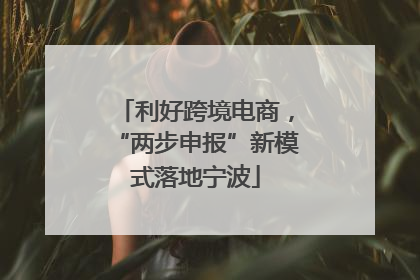利好跨境电商，“两步申报”新模式落地宁波