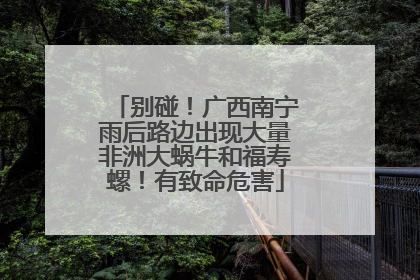 别碰！广西南宁雨后路边出现大量非洲大蜗牛和福寿螺！有致命危害
