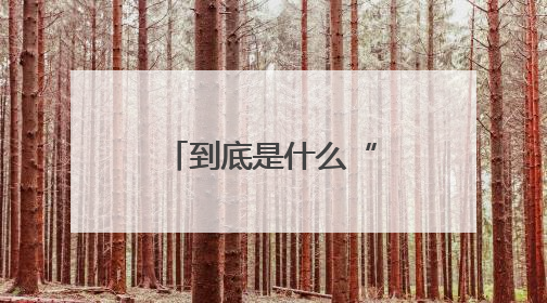 到底是什么“武功秘籍”让他们都说好？