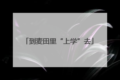 到麦田里“上学”去