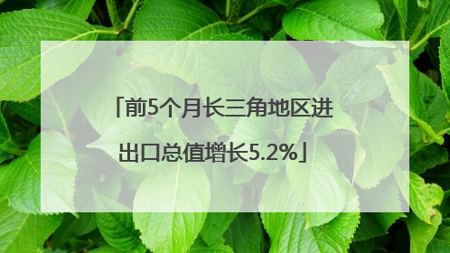 前5个月长三角地区进出口总值增长5.2%