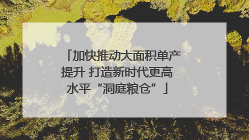 加快推动大面积单产提升 打造新时代更高水平“洞庭粮仓”