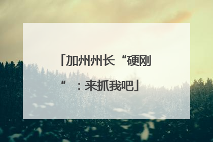 加州州长“硬刚”：来抓我吧
