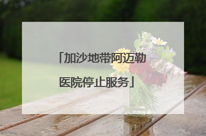 加沙地带阿迈勒医院停止服务