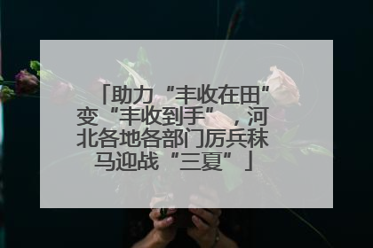 助力“丰收在田”变“丰收到手”，河北各地各部门厉兵秣马迎战“三夏”