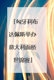 匈牙利布达佩斯举办意大利面桥世锦赛