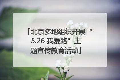 北京多地组织开展“5.26 我爱路”主题宣传教育活动