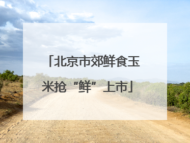 北京市郊鲜食玉米抢“鲜”上市