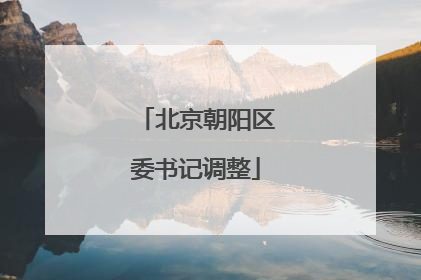 北京朝阳区委书记调整
