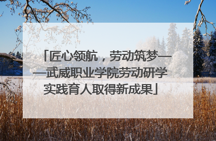匠心领航，劳动筑梦——武威职业学院劳动研学实践育人取得新成果