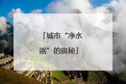 城市“净水器”的奥秘