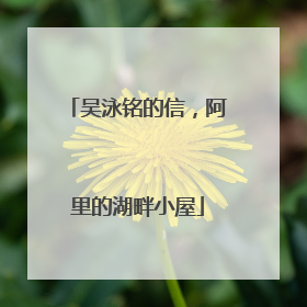 吴泳铭的信，阿里的湖畔小屋