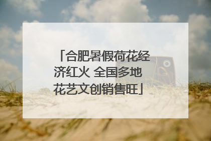 合肥暑假荷花经济红火 全国多地花艺文创销售旺