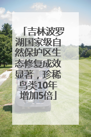 吉林波罗湖国家级自然保护区生态修复成效显著，珍稀鸟类10年增加5倍