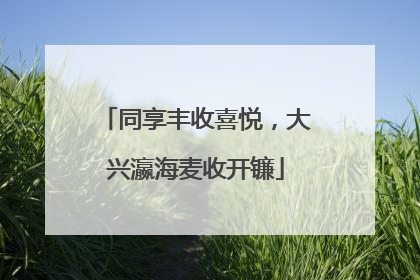 同享丰收喜悦，大兴瀛海麦收开镰