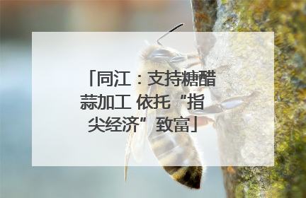 同江：支持糖醋蒜加工 依托“指尖经济”致富