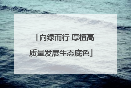 向绿而行 厚植高质量发展生态底色