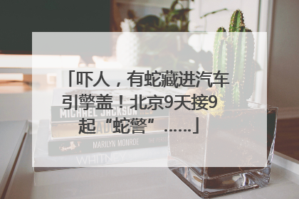 吓人，有蛇藏进汽车引擎盖！北京9天接9起“蛇警”……