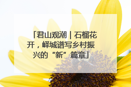 君山观潮｜石榴花开，峄城谱写乡村振兴的“新”篇章